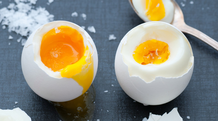 A tojás amellett, hogy finom még az egészségre is jó hatással van/Fotó:Northfoto