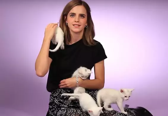Emma Watson przekonała się, że udzielanie wywiadu i głaskanie kotków nie jest łatwe