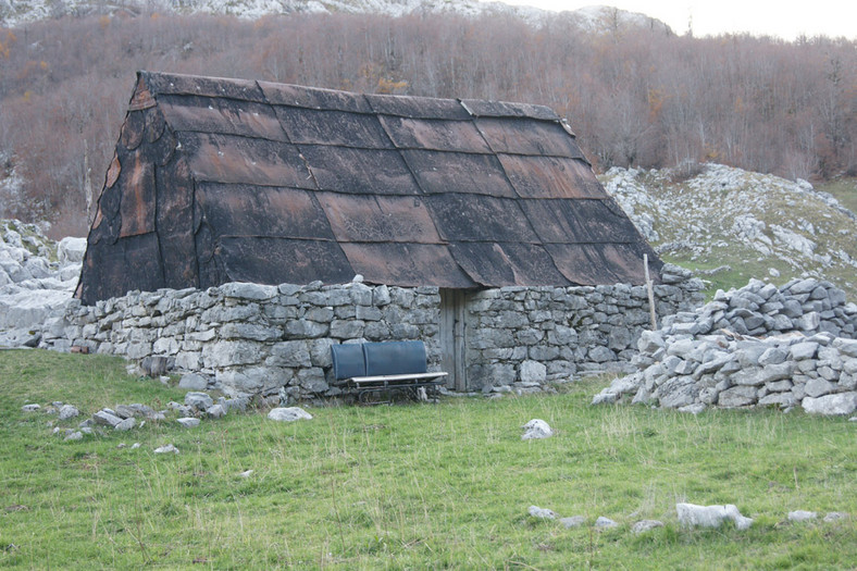 Ekspedycja Czarnogóra: kierunek Montenegro