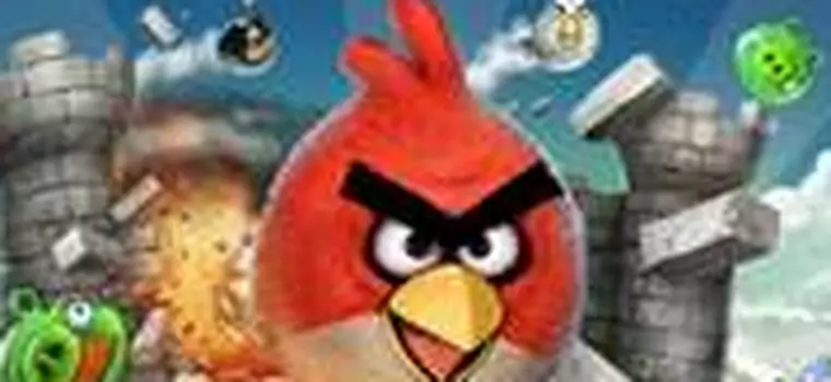 Angry Birds w pudełku. "A komu to potrzebne? A dlaczego?"