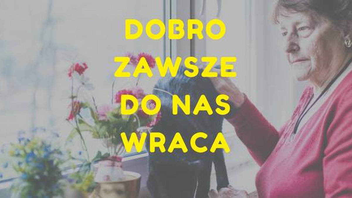 Lato w pełni, przez uchylone okno wpadają ciepłe promienie słońca i słychać śpiew ptaków. Niestety wszystko to nie cieszy, gdy jest się samemu zamkniętym w czterech ścianach.