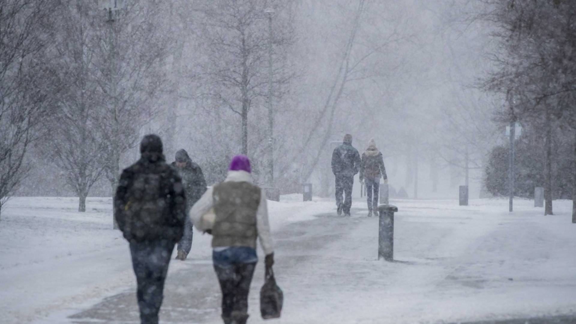 Prvo ćemo uživati na plus 15 - onda zima uzvraća udarac