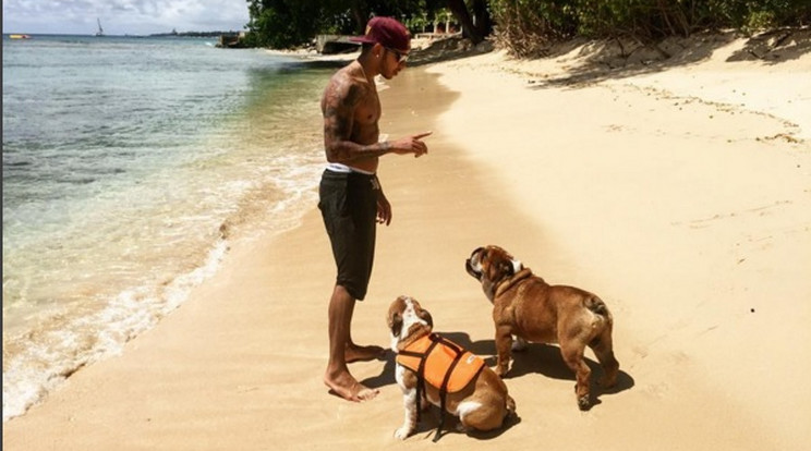 Hamilton a kutyáival lazít a tengerparton/Fotó: Instagram