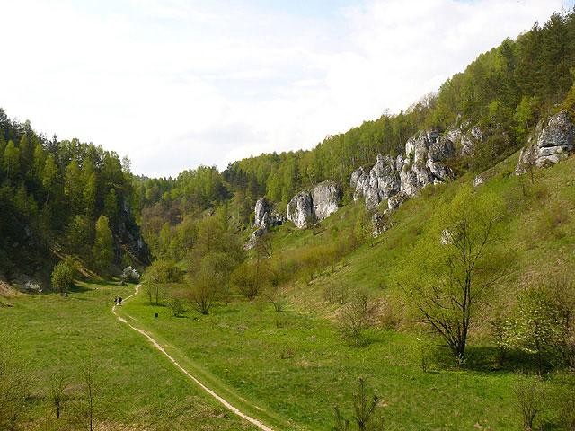 Galeria Polska - okolice Krakowa - Dolina Kobylańska, obrazek 24