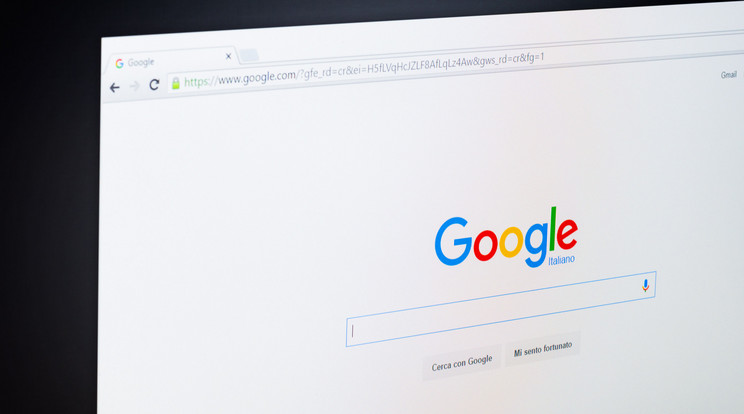 A Google Chrome átvette a vezetést a böngészők között/Fotó:Shutterstock