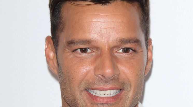 Ricky Martin szeretne még egy gyereket / Fotó: Northfoto