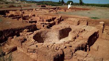 W Grecji odkryto ruiny sklepu z winem sprzed 1600 lat