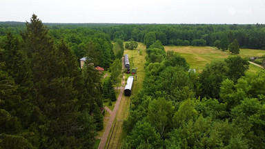 Białowieża znów dostępna dla turystów. Tak wygląda po 10 miesiącach zamknięcia