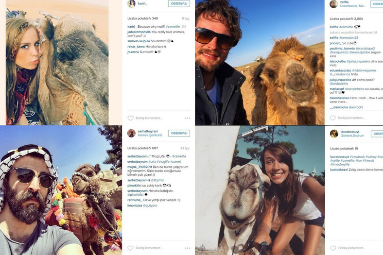 CAMELFIE, fot. Instagram