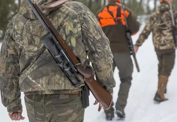 Krwawy raport kół łowieckich - do końca marca zaplanowano zabicie 1,5 mln zwierząt