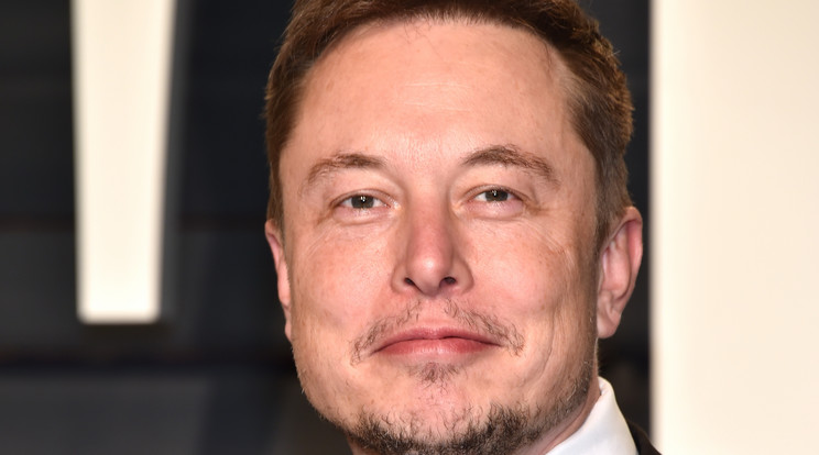 Elon Musk becsajozott /Fotó: GettyImages