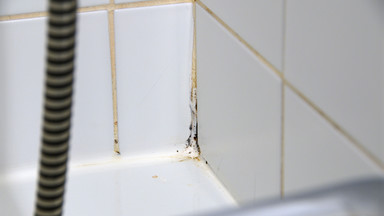 Jak się pozbyć pleśni z silikonu w łazience? Wystarczą dwa składniki