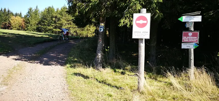 Jeździli dla rozrywki po lesie. Zupełnie nie spodziewali się mandatów