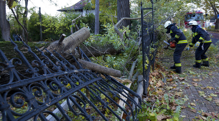 Siófokon kerítéseket is kibontott a szél / Fotó: MTI