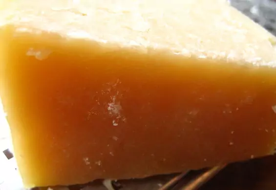 Włoski ser czy przysmak dla bobrów? Uwaga na parmezan z celulozą