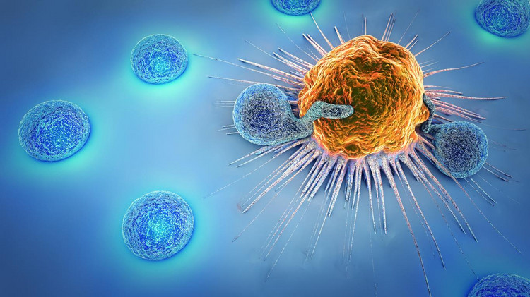 Hipertermia pobudza układ odpornościowy do walki z nowotworem