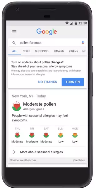 Prognoza alergii w Google