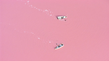 Senegal - Lac Rose - niesamowite Różowe Jezioro