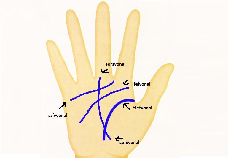 Az egész életutad ott van a tenyeredben! Íme a négy alapvonal - és a titok, amit elárul rólad