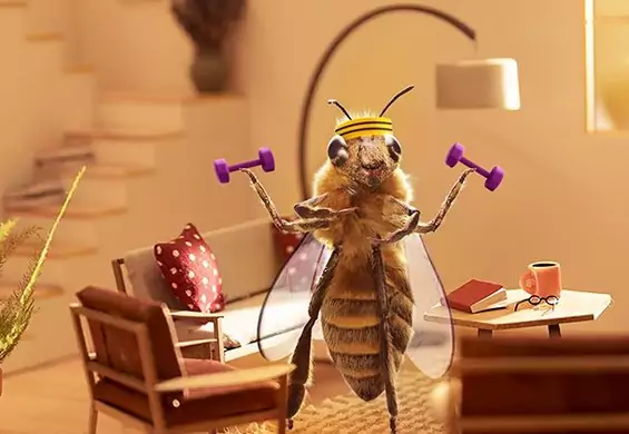 Pszczoła-influencerka zbiera pieniądze na ratowanie gatunku na Instagramie