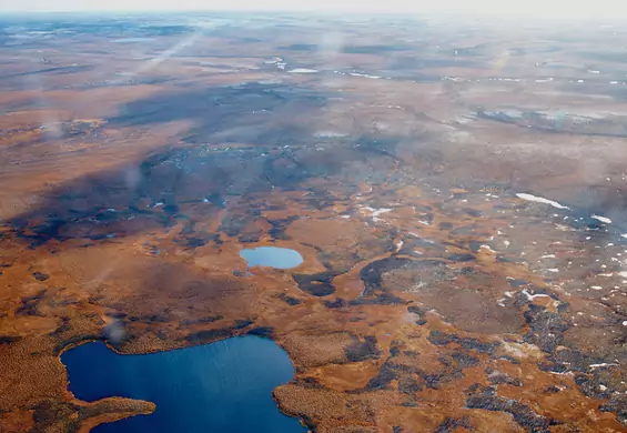 Tundra syberyjska może zniknąć do połowy tysiąclecia