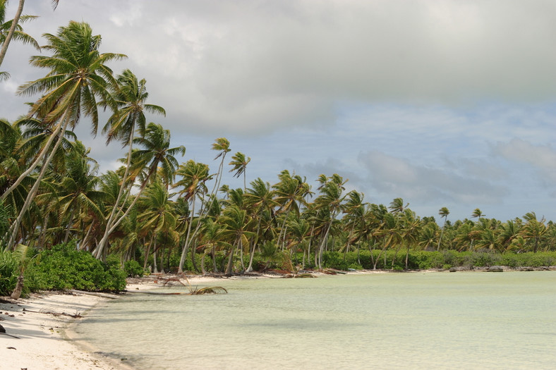 Plaża na jednej z wysp archipelagu Kiribati.