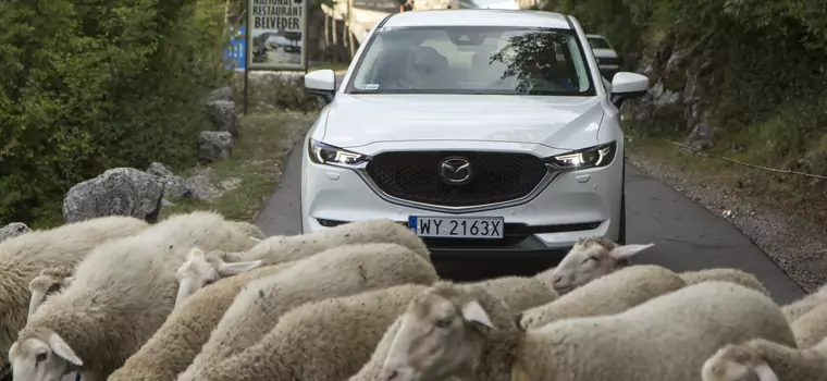 Mazdami po Czarnogórze – warto dokonywać nieoczywistych wyborów
