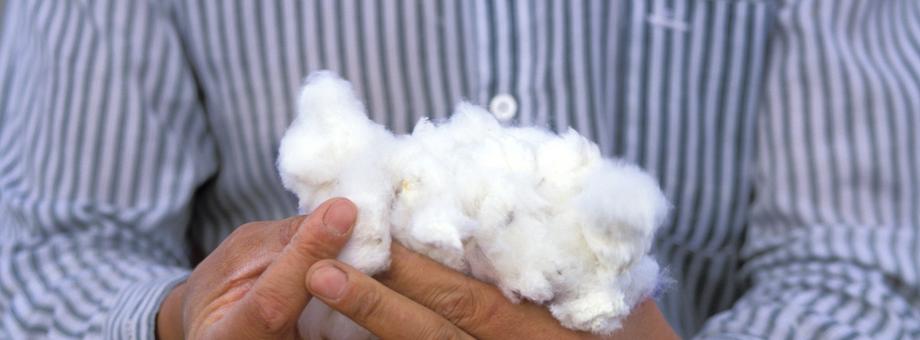 Rolnik z kłębkami bawełny w chińskiej prowincji Sinciang (Xinjiang), z której pochodzi ok. jedna piąta światowej bawełny. Uprawy odbywają się tam jednak z pogwałceniem praw człowieka