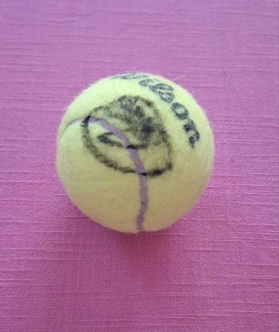 Humanitarac Vladimir prodaje Novakovu čuvenu loptu