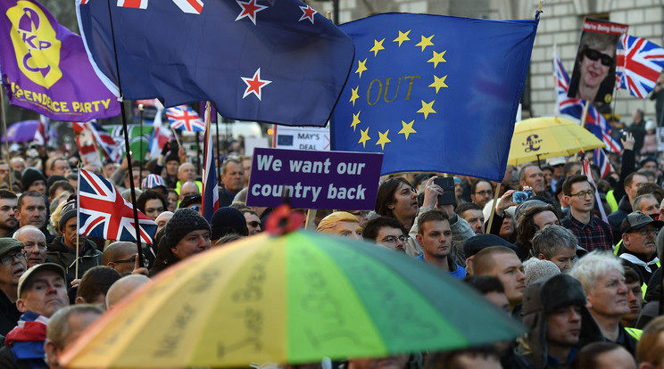 Az uniós tagságot ellenző britek tüntetése / MTI/EPA/Andy Rain