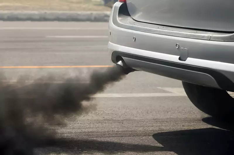 Każdy człowiek może się przyczynić do walki ze smogiem