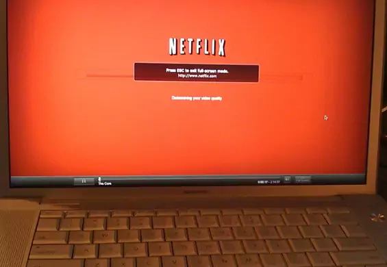 Oszustwo "na Netflixa"! Stworzyli podróbkę, żeby wyciągnąć dane kart kredytowych