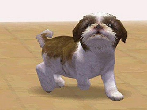 Nintendogs For Dsi