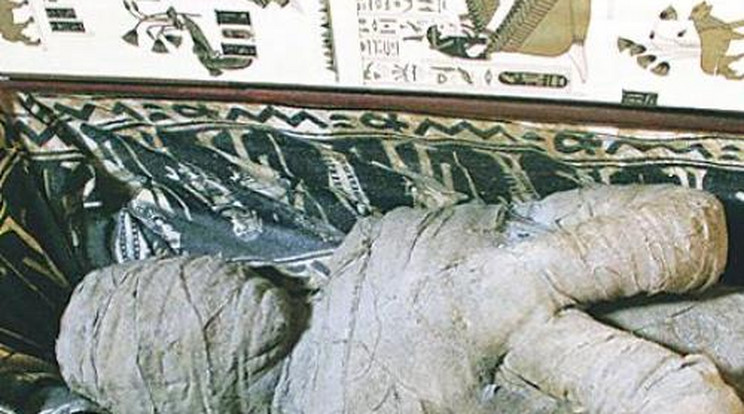 Múmiát talált a nagyszülei padlásán a 10 éves kölyök