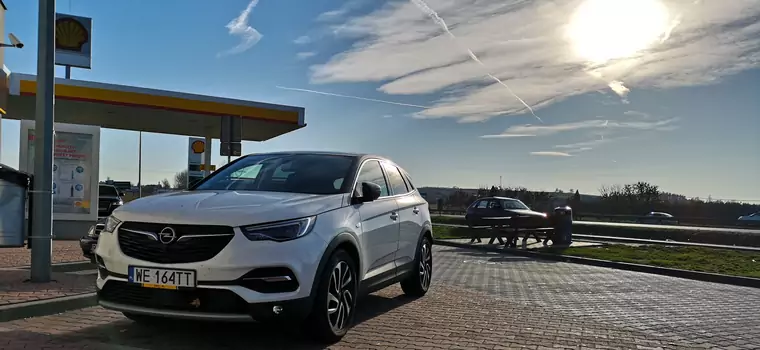 Opel Grandland X 2.0 Diesel – elektronika po francusku | Test długodystansowy (cz. 4)