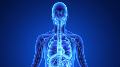 Anatomiczna człowieka - co warto wiedzieć?