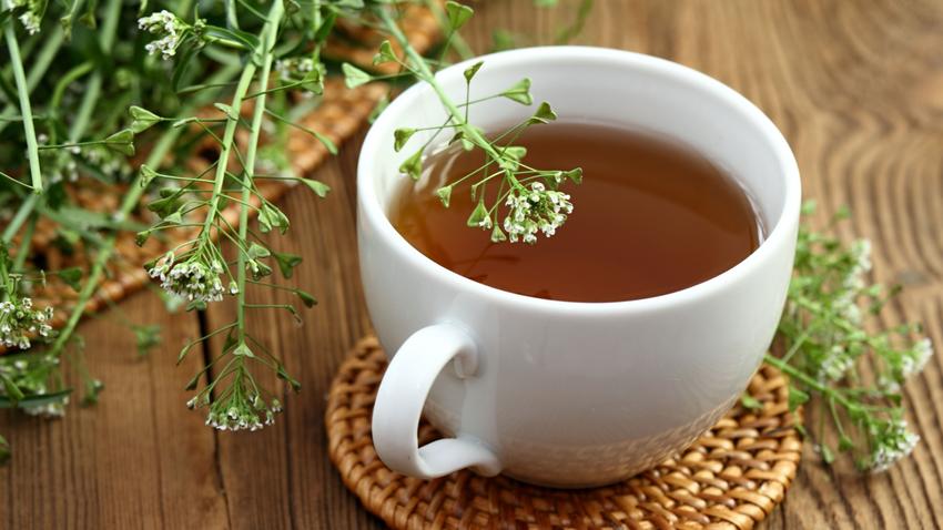 Erős menstruációs vérzés ellen gyógynövény tea