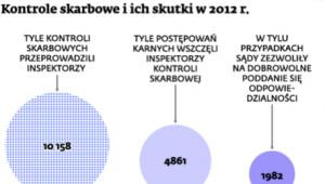 Kontrole skarbowe i ich skutki w 2013 r.