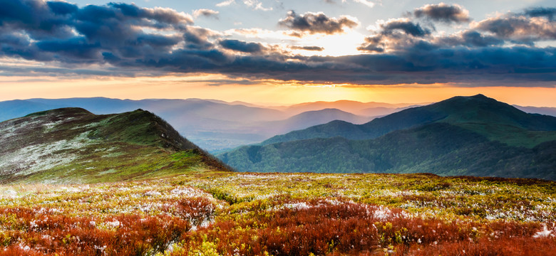 Bieszczady - jedne z najdzikszych gór Europy