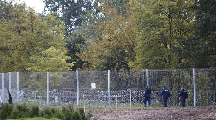 A déli határzár egy 175 kilométer hosszú szakasz, az elejétől a végéig négyméteres kerítést húztak fel /Fotó: MTI/Varga György