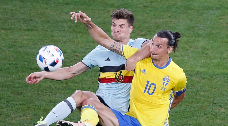 Ibrahimovic ezúttal is szenvedett / Fotó: AFP