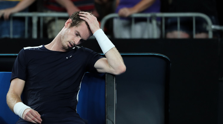 Andy Murray /Fotó: Northfoto