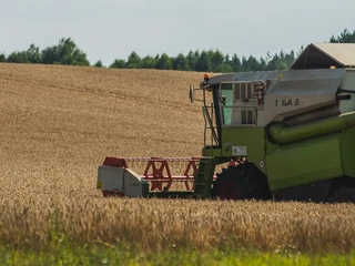 Według GUS 3 lata temu w kraju funkcjonowało 1,4 mln gospodarstw rolnych o łącznej powierzchni 16,4 mln ha, co stanowiło 56,5 proc. powierzchni obszarów wiejskich. Te z kolei zajmowały 93 proc. powierzchni kraju i były zamieszkiwane przez blisko 40 proc. ludności