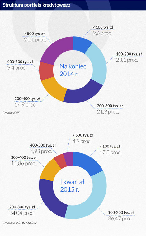 Struktyra portfela kredytowego (infografika Dariusz Gąszczyk)