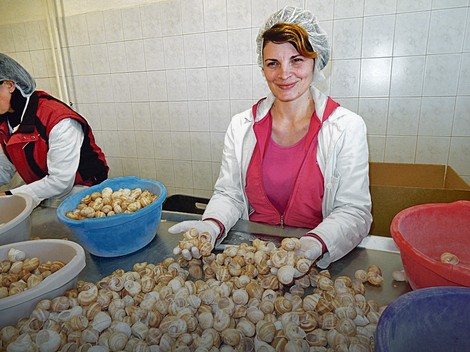 Oduševljena uslovima na poslu: Radnica Snežana Ilić (27)