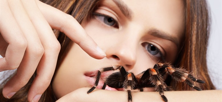 Arachnofobia: przyczyny oraz leczenie za pomocą desensytyzacji i terapii implozyjnej