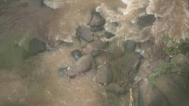 11 słoni zginęło w wodospadzie w Tajlandii