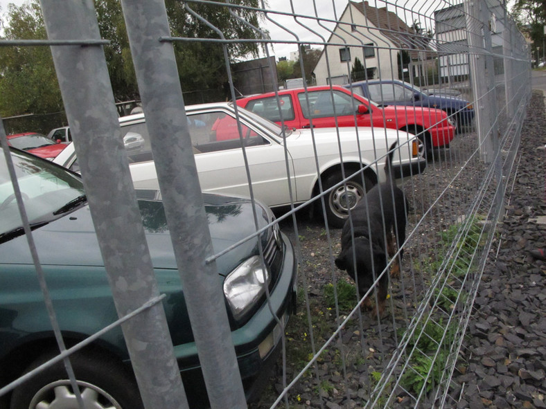 Czy warto jechać po auto do Niemiec? Może w Polsce jest taniej