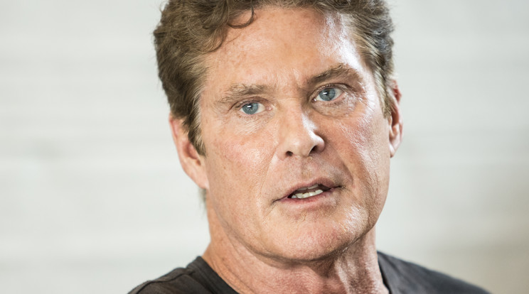 David Hasselhoff / Fotó: Northfoto