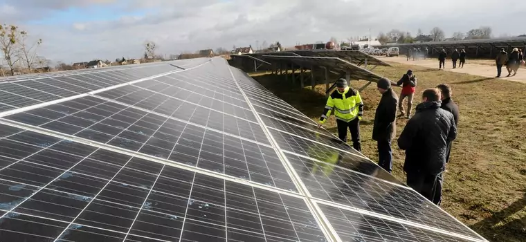 PGE chce zbudować największą farmę solarną w Polsce